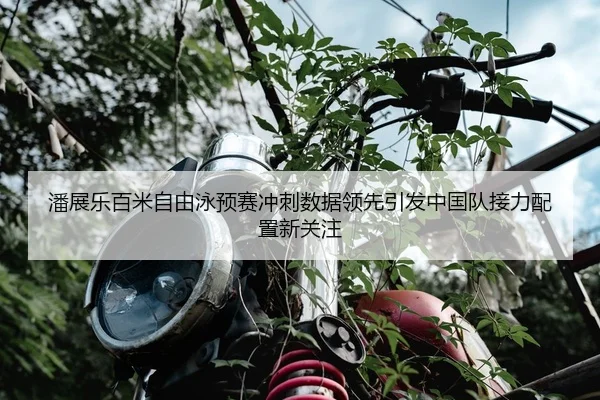 潘展乐百米自由泳预赛冲刺数据领先引发中国队接力配置新关注